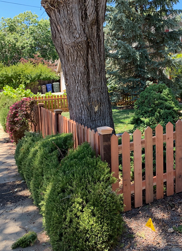 Wooden White Picket Fence For Sidewalk