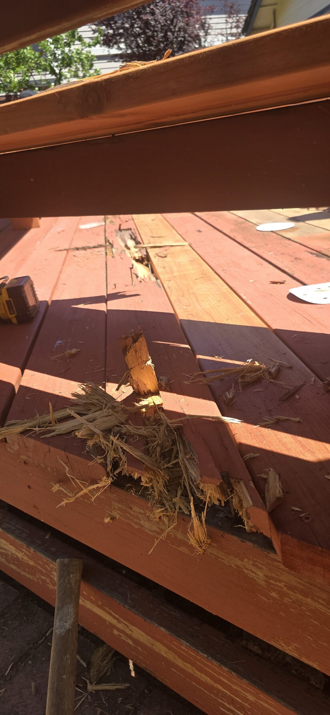 Signs It's Time to Replace Your Old Fence