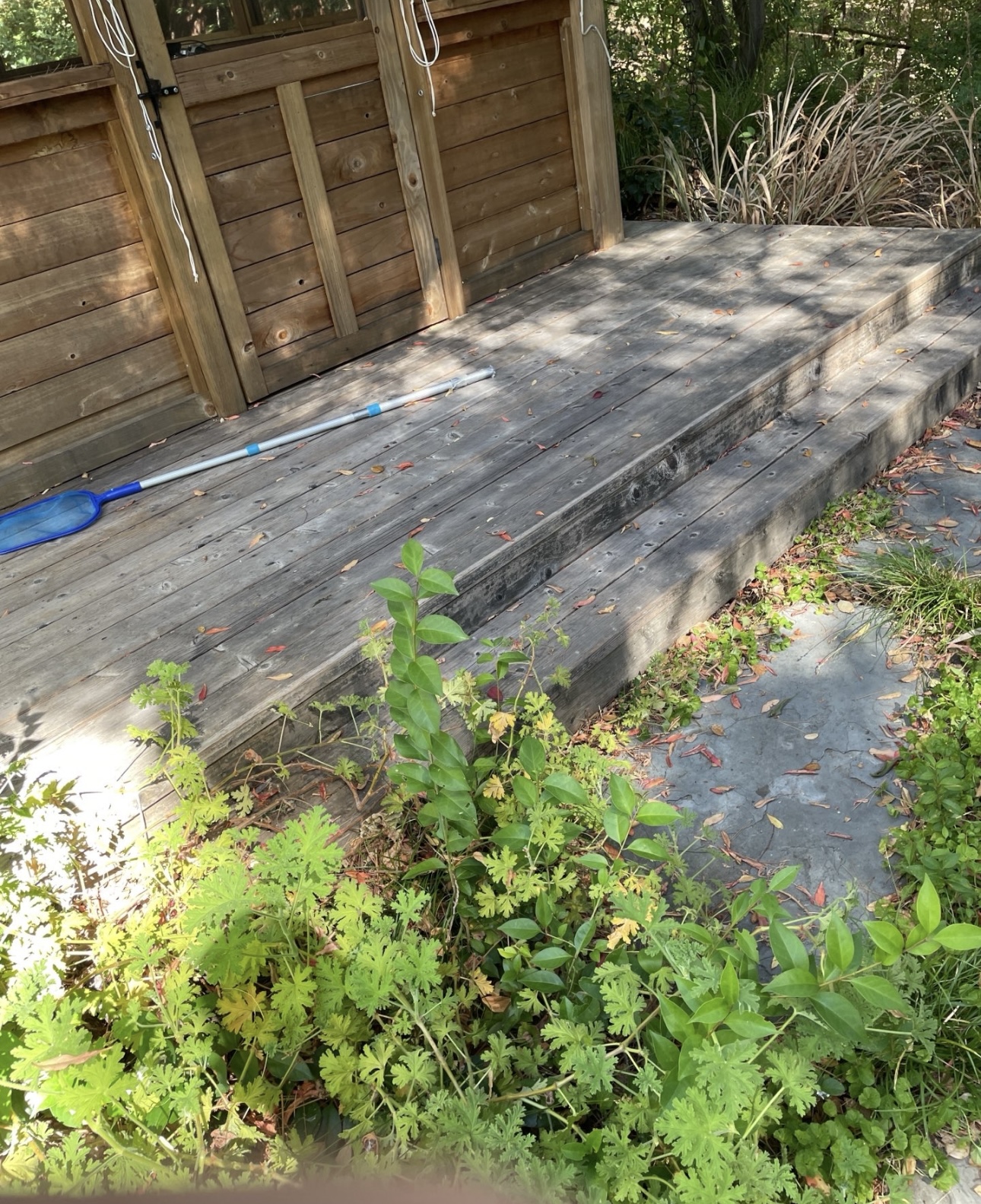 How to Tell if a Fence is Rotten