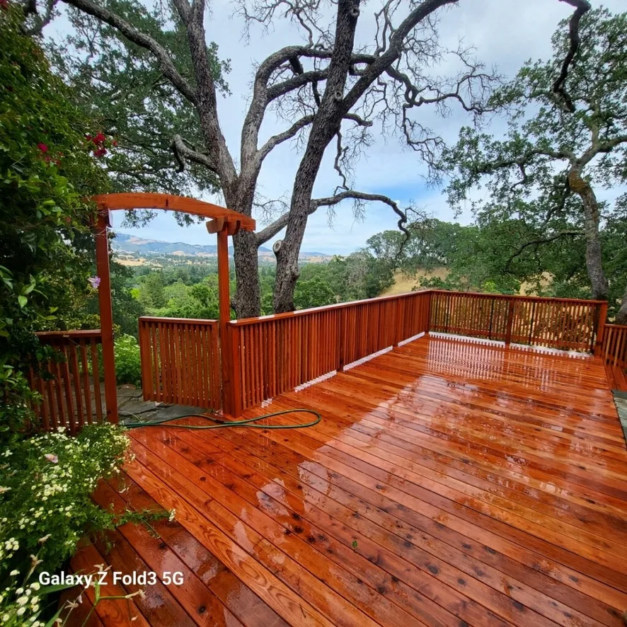 How to Tell if Deck Wood is Still Good