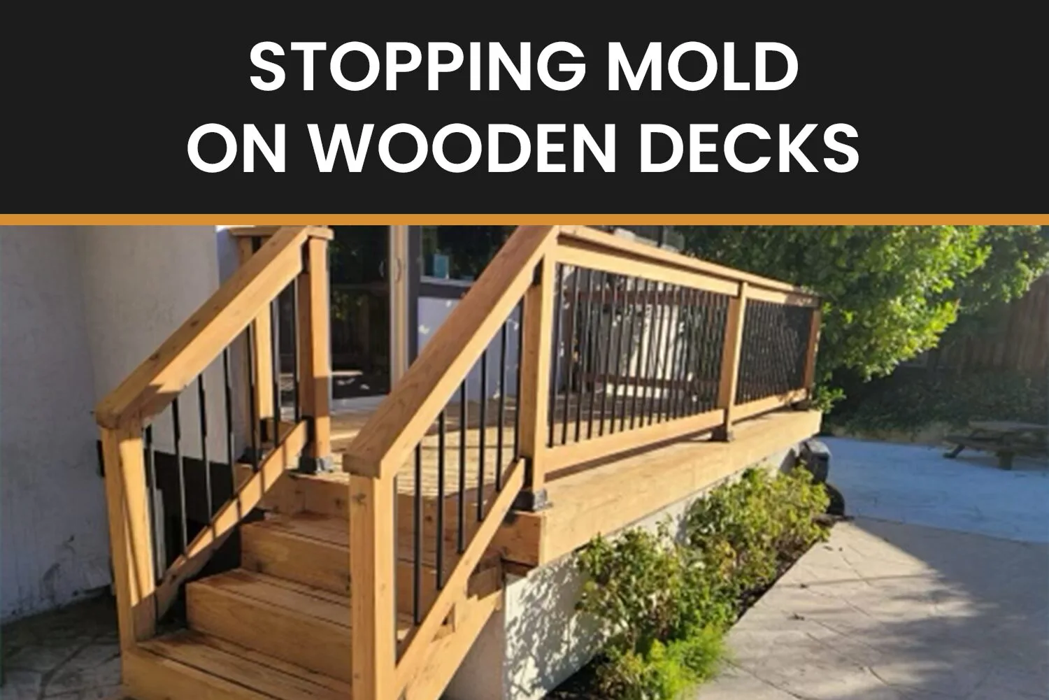 How to Prevent Mould Growth on wooden Decking