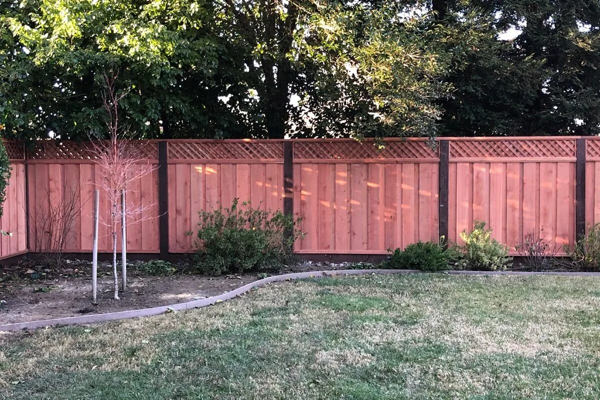 Custom Arbor Construction