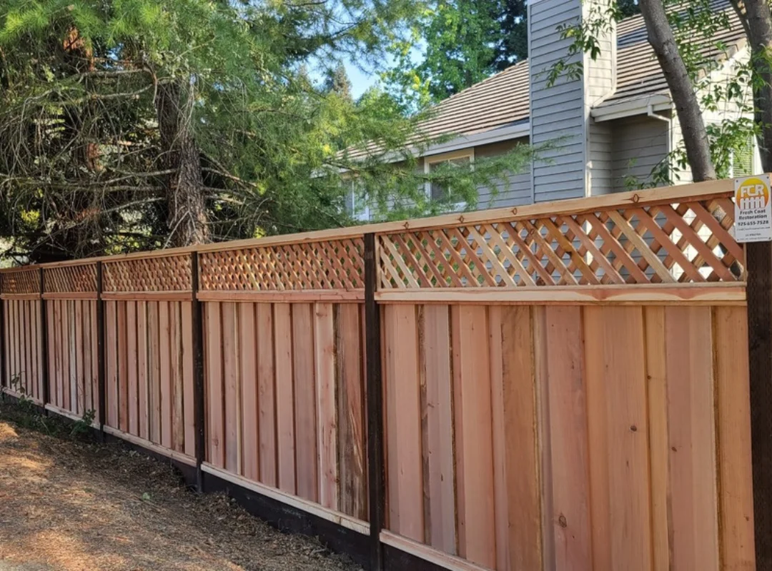 Privacy Fence For Dogs Backyard