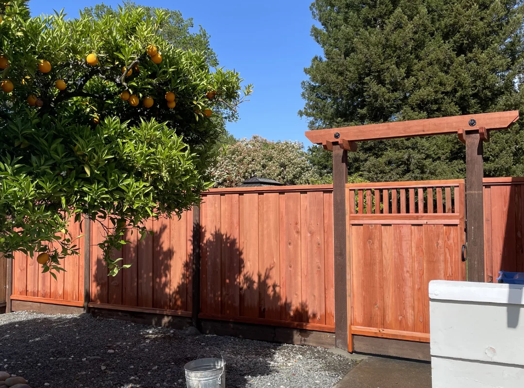 Backyard Trellis Climbing Plants