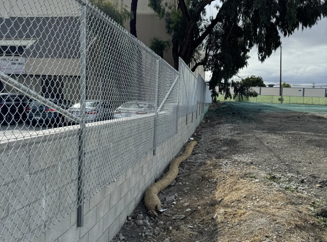 Wooden Fence Dog Enclosure