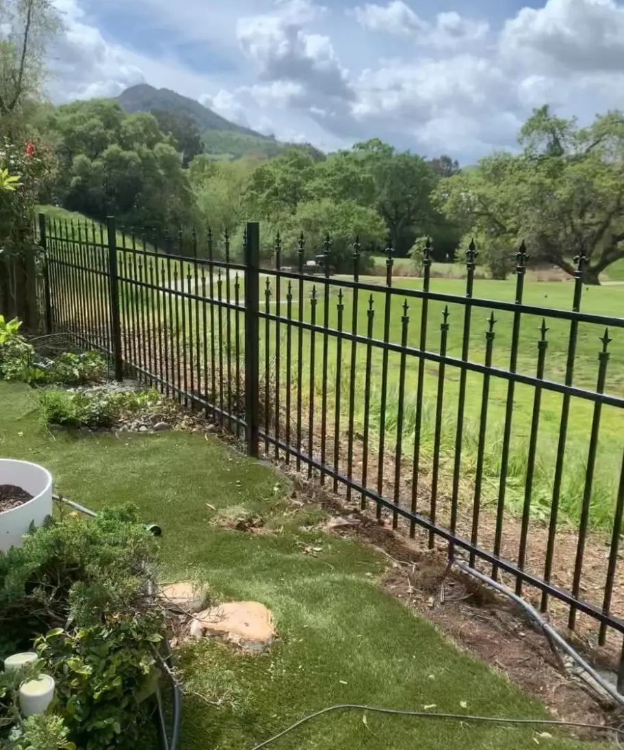 Custom Wrought Iron Gate With Secure Locking Mechanism