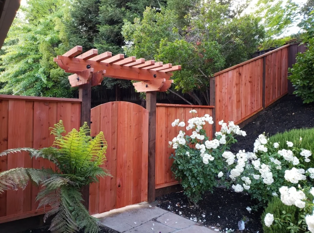 What Are Common Trellis Building Mistakes